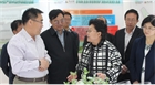 市委副書記、代市長艾麗華來我公司考察、調(diào)研