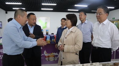 內蒙古自治區(qū)黨委副書記、自治區(qū)主席布小林蒞臨公司視察工作